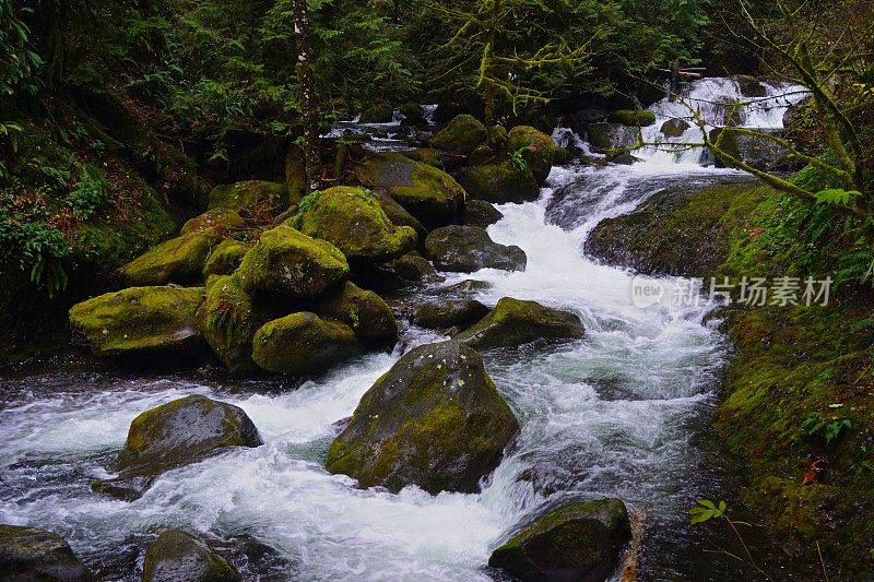 Multnomah Creek Green Rocks